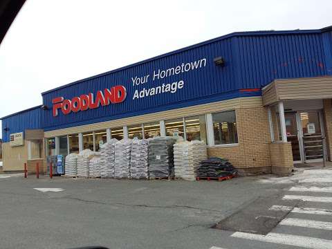 Foodland - Torbay